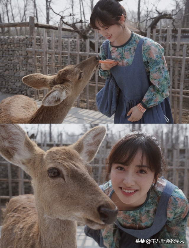 古装女星施法姿势,关晓彤是“五毛钱特效”,杨幂被赞演技爆棚!_腾讯新闻 古装女星施法姿势,关晓彤是“五毛钱特效”,杨幂被赞演技爆棚!_腾讯新闻