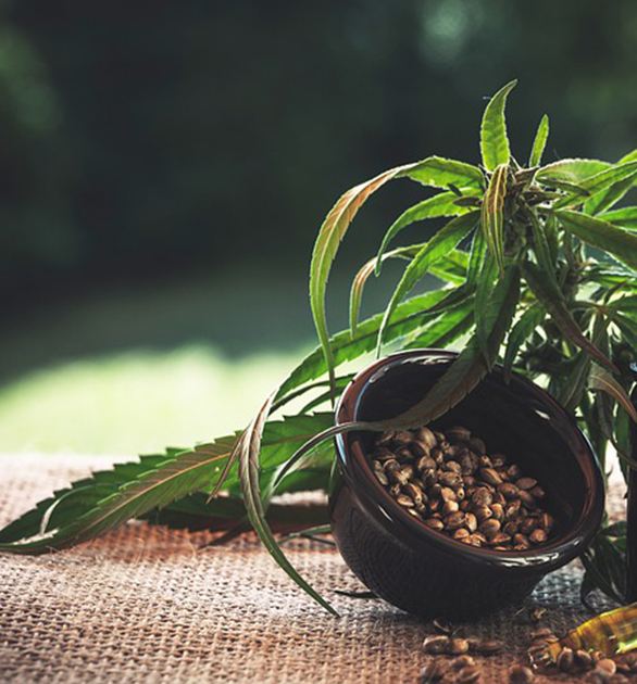 手机浏览_全球微商网的简单介绍 手机浏览_全球微商网的简单介绍