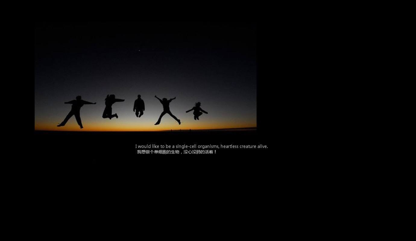 QQ空间皮肤代码_QQ空间免费皮肤代码_空间皮肤代码-太平洋电脑网的简单介绍