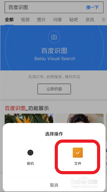包含怎么样在百度搜索到自己的代刷网_百度知道的词条