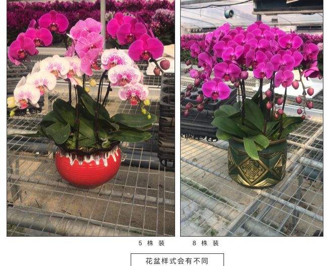 小超低价刷网-口口网的简单介绍