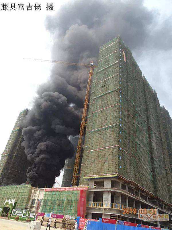 对中国移动，我点一万个赞！手机藤北网的简单介绍