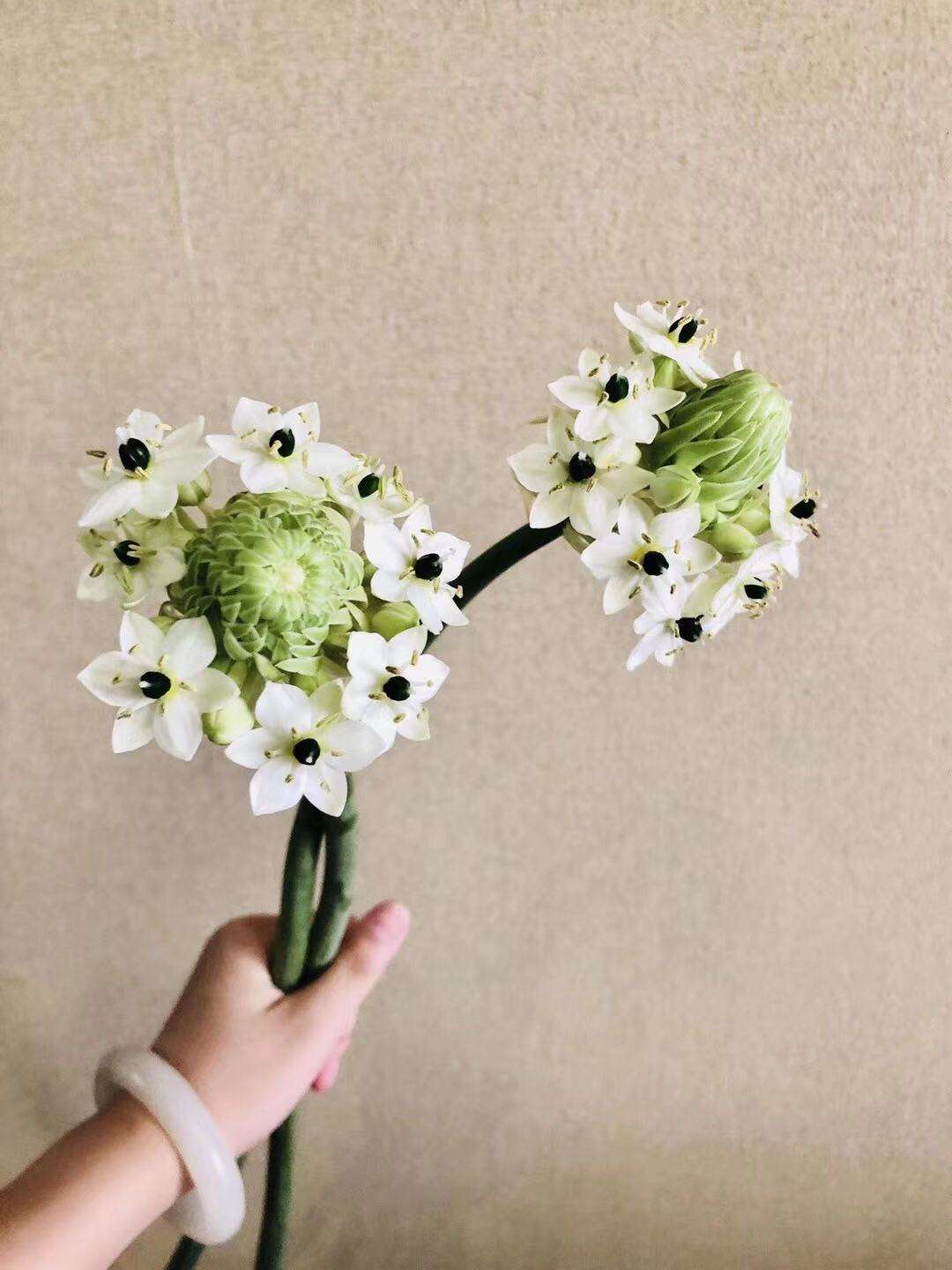 恇帒图片:壁纸全屏ins鲜花的简单介绍