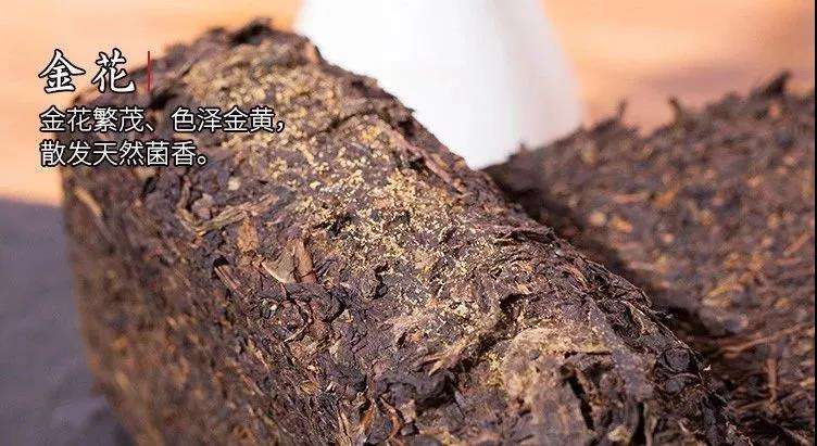 包含安化黑茶有什么独到之处? ?-五毛钱晚饭的回答-头条问答的词条 包含安化黑茶有什么独到之处? ?-五毛钱晚饭的回答-头条问答的词条