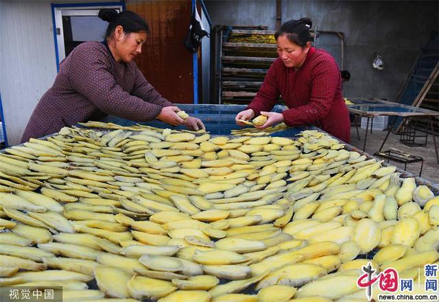 包含黄金100秒来到共青希望小学圆山里孩子的音乐梦_枣庄新闻_枣庄大众网-枣庄唯一新闻综合门户网站的词条