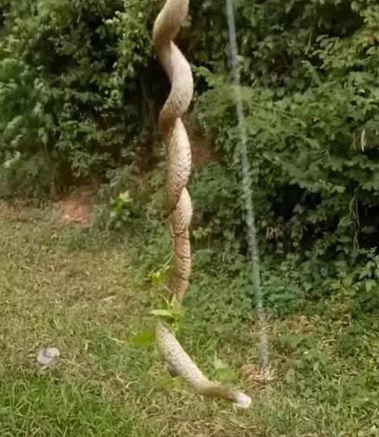 关于安徽六安一爸爸钓鱼甩鱼钩，钩住自己亲闺女。爸爸自责：我再也不钓鱼了-度小视的信息