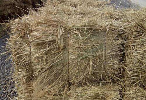 关于165斤稻一块两毛五一斤,一共多少钱_问一问的信息