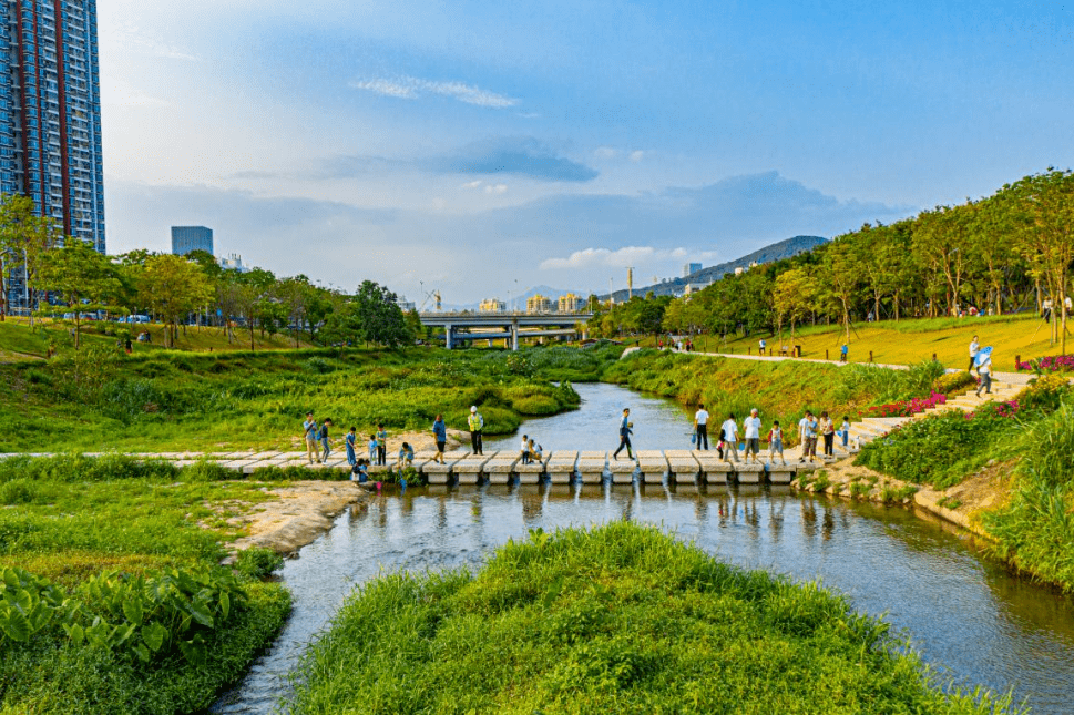 包含抖音视频刷播放量工具(抖音短视频刷播放量专家)V1.1正式版软件下载-绿色先锋下载-绿色软件下载站的词条