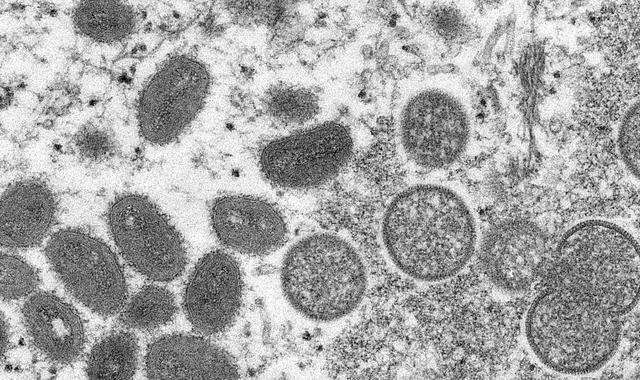 91抖音短视频-91抖音安装(无限播放)v17.8.0的简单介绍