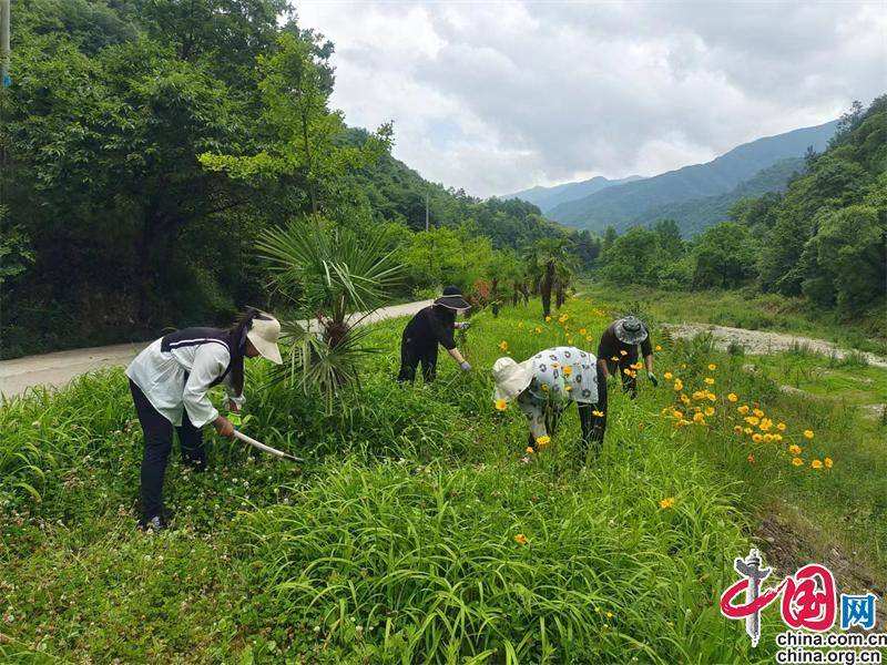 天龙QQ空间互赞软件(qq空间自动赞)V1.02绿色版软件下载-绿色先锋下载-绿色软件下载站的简单介绍