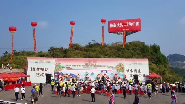 包含中国·十八洞首届油菜花节微视频文创大赛启动！_参赛_作品_花垣县的词条