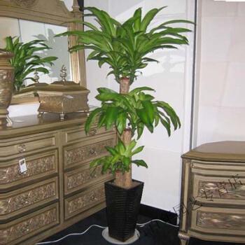 顶顶大名9.86-顶顶大名顶贴机下载v9.86绿色版-绿色资源网的简单介绍