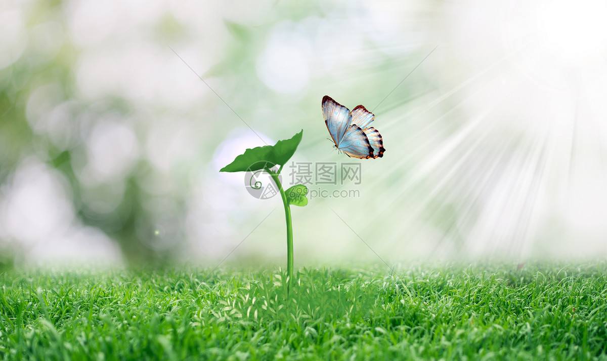 包含迪迪QQ空间说说免费赞(qq说说赞扣扣查)V1.0.2最新版软件下载-绿色先锋下载-绿色软件下载站的词条