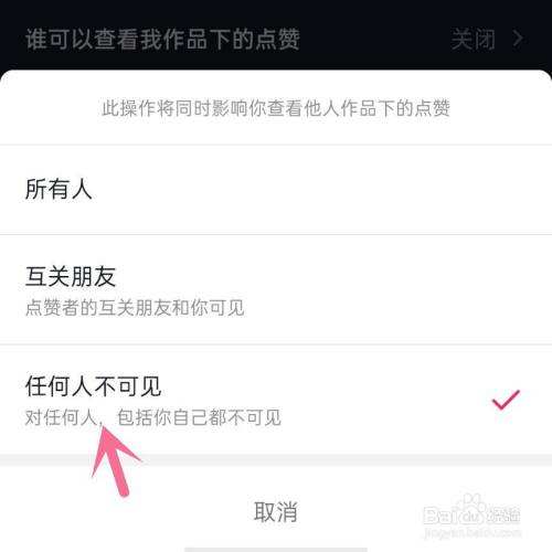 关于抖音可以设置自己的点赞不被人看到吗？谁可以看我对作品的点赞？_那有的信息