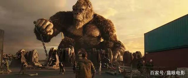 关于《哥斯拉大战金刚》首映获赞久违极致观感_娱乐频道_中国青年网的信息 关于《哥斯拉大战金刚》首映获赞久违极致观感_娱乐频道_中国青年网的信息