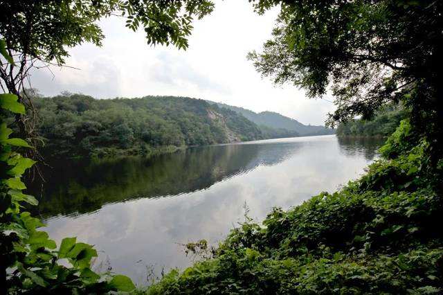 点赞！“五一”假期四会市旅游收入近一亿元，4天假期内实现全市旅游服务零投诉_石河的简单介绍