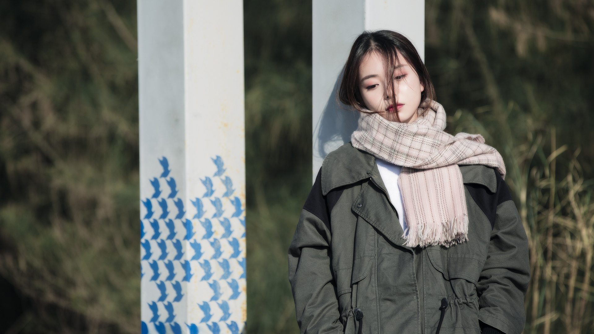 皮皮虾粉丝购买自助下单平台(皮皮虾涨粉丝1元1000个活粉) 皮皮虾粉丝购买自助下单平台(皮皮虾涨粉丝1元1000个活粉)