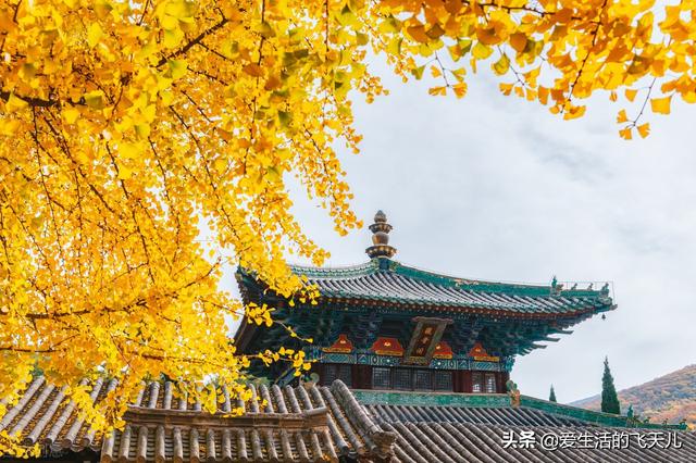 快手1元1000千粉丝活粉丝(快手1元1000千粉丝活粉丝是真的吗) 快手1元1000千粉丝活粉丝(快手1元1000千粉丝活粉丝是真的吗)