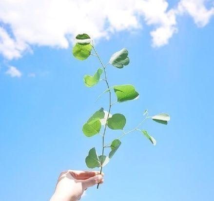 免费说说点赞网（永久免费说说赞平台）