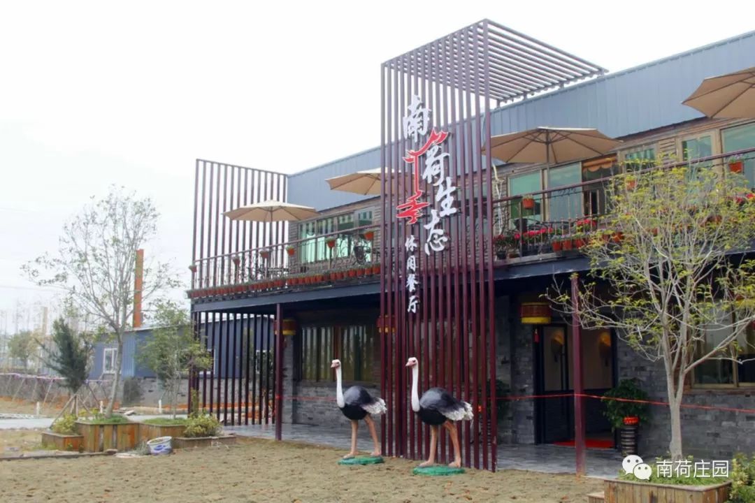 南荷24小时自助下单平台网站（南荷业务网  24小时自助下单平台）