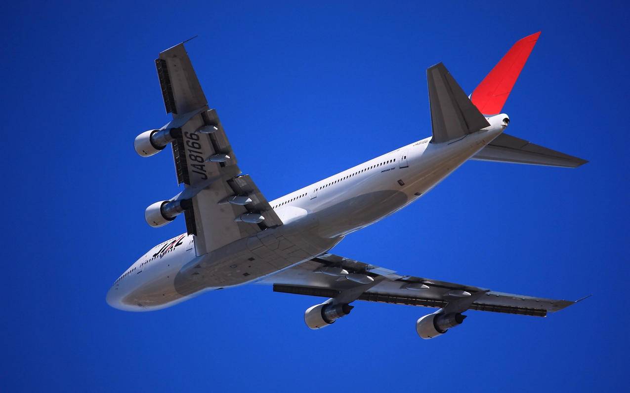 代刷网加盟（代刷网的货源来自哪里）