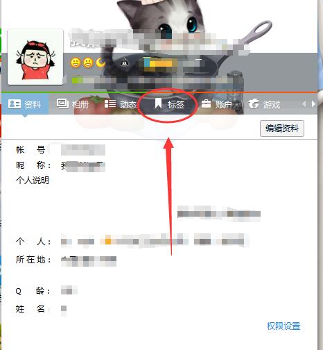 qq刷个性标签的网站（刷个性标签的网站叫什么）