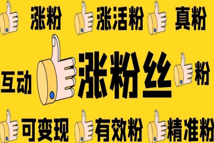 快手增粉网站（快手涨粉业务平台）