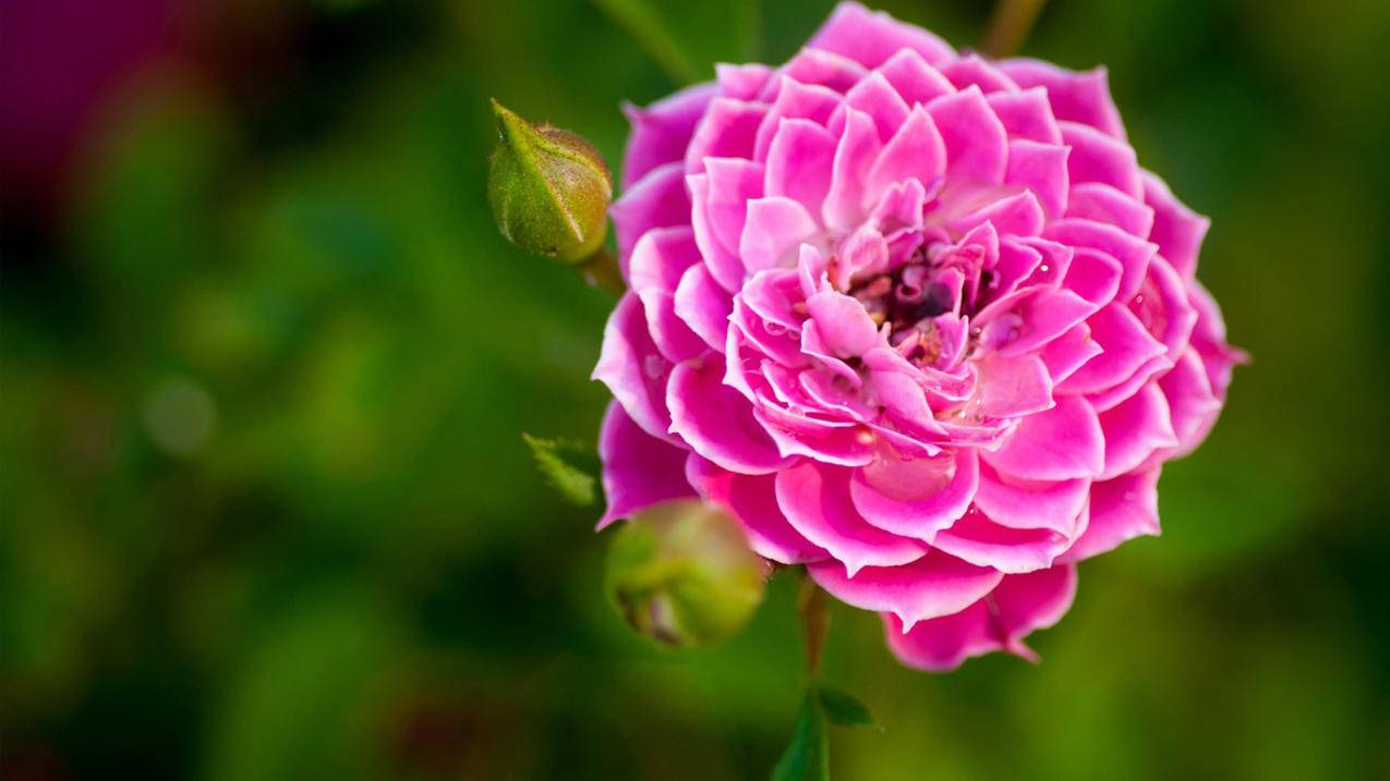 快手业务秒刷网最便宜(快手业务秒刷网低价) 快手业务秒刷网最便宜(快手业务秒刷网低价)