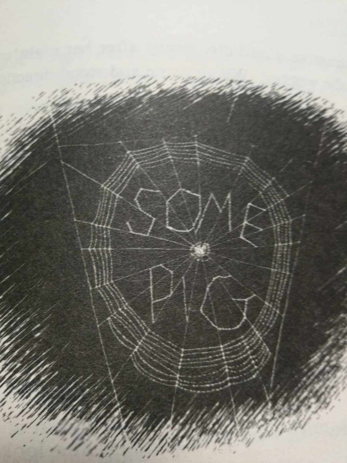 夏洛代刷网(夏洛特代刷网) 夏洛代刷网(夏洛特代刷网)