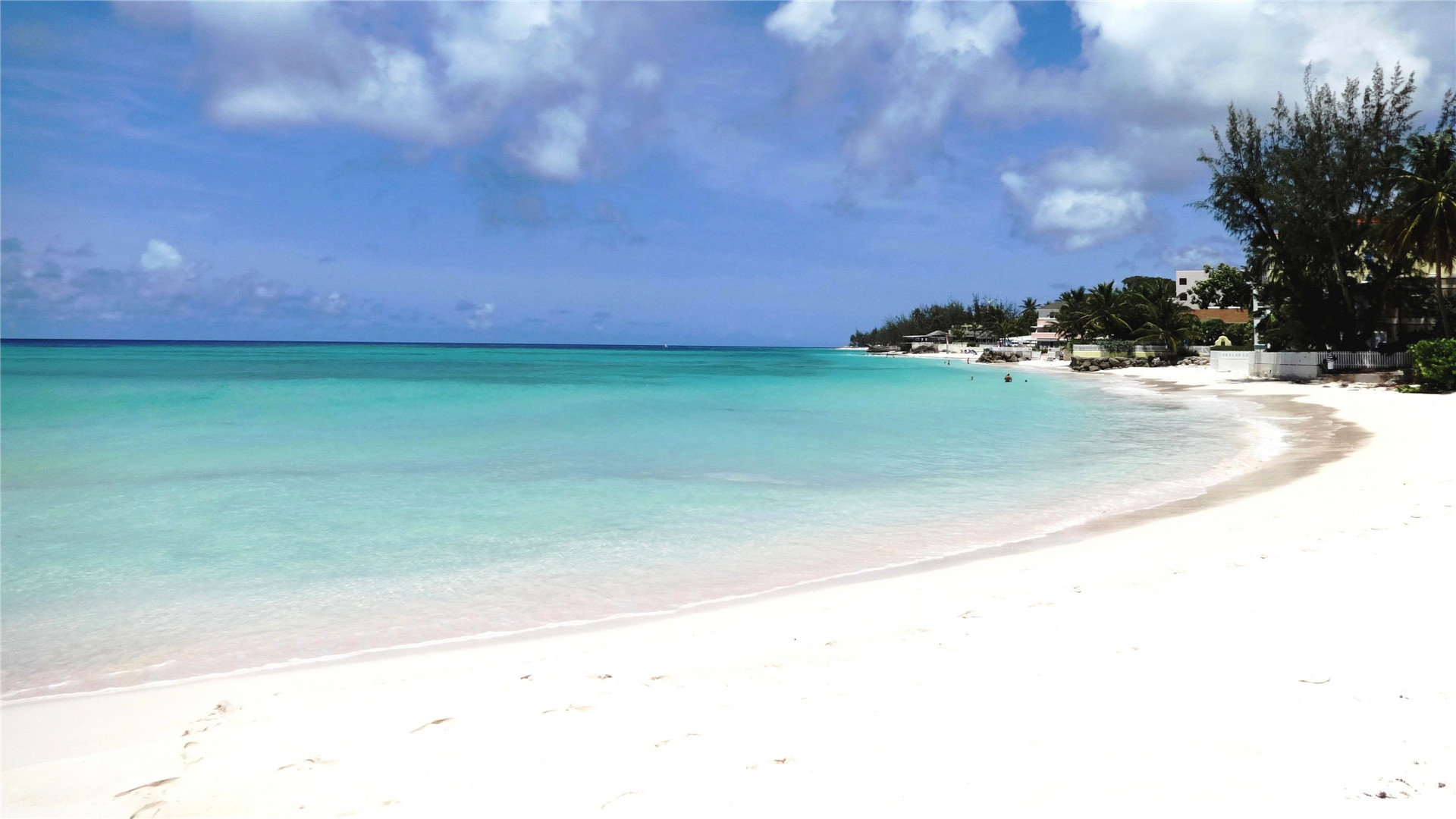 王者业务自助下单平台（王者业务自助下单平台是什么）