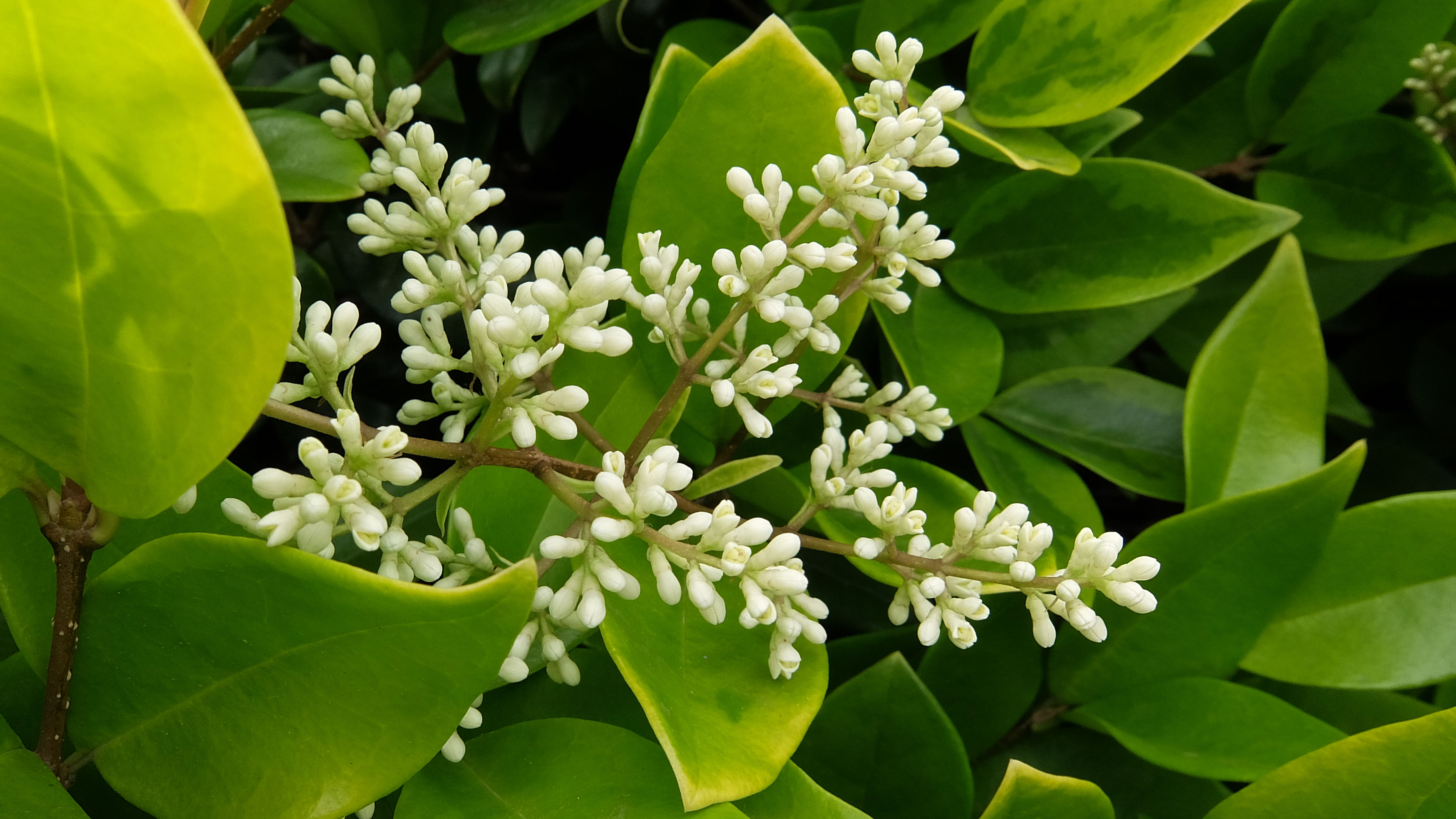 qq低价空间（低价空间赞平台）