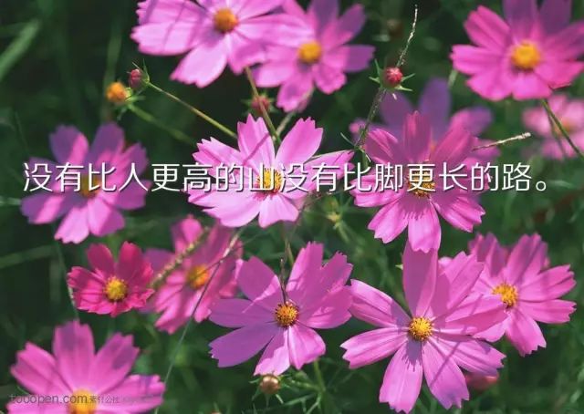 免费说说赞（免费说说赞10个领取网站  免费空间业务领取网址）