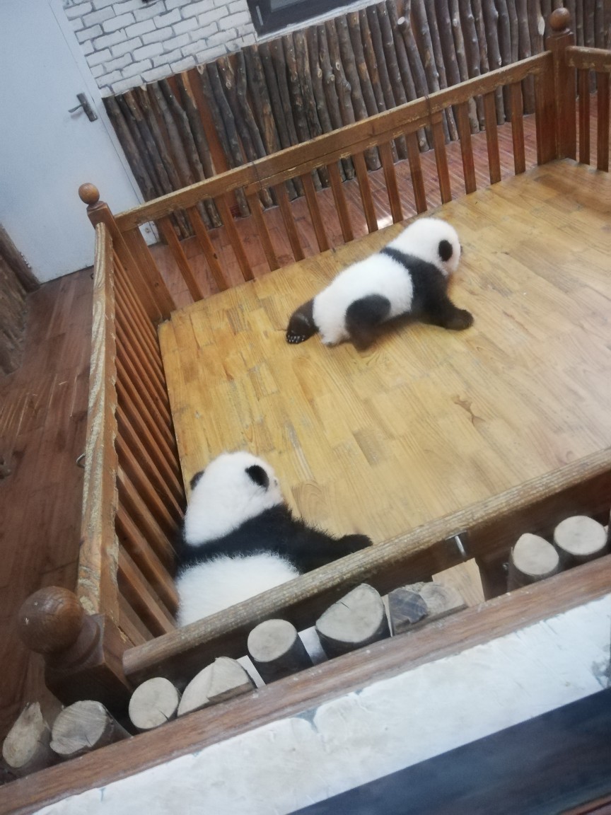 关于熊猫社区空间业务自助下单平台的信息 关于熊猫社区空间业务自助下单平台的信息