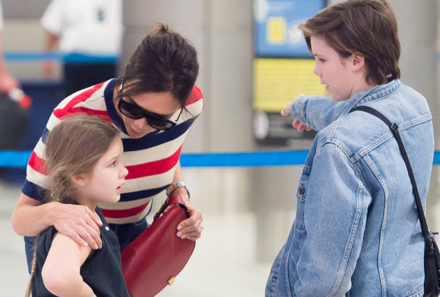 小七点赞网（小七与点点日常）