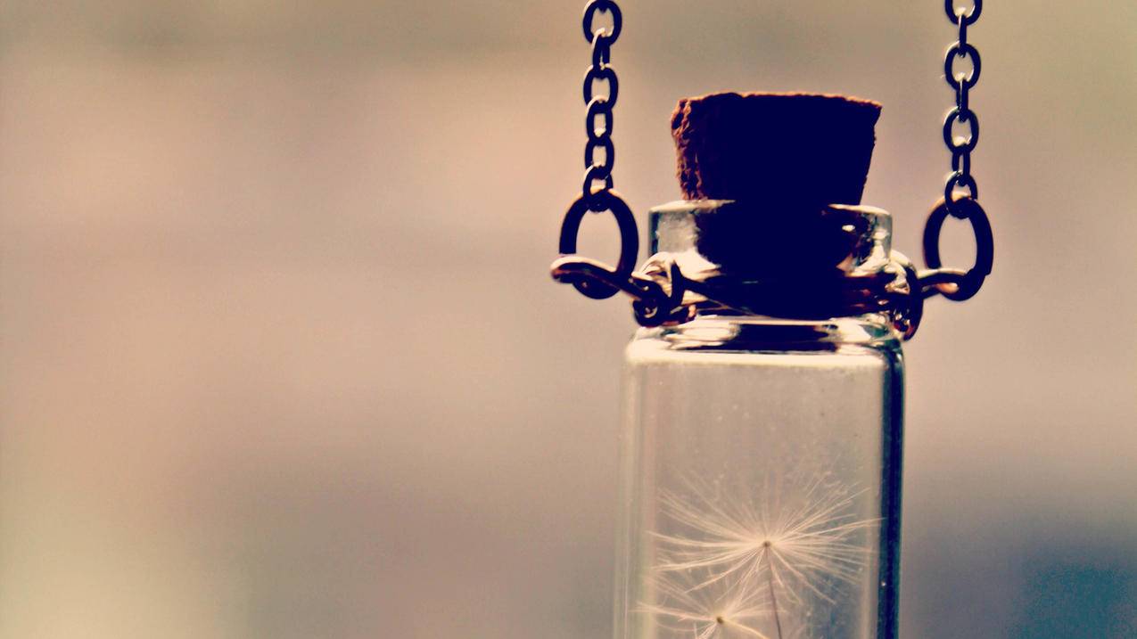 0.1元空间说说赞（01元空间说说赞）