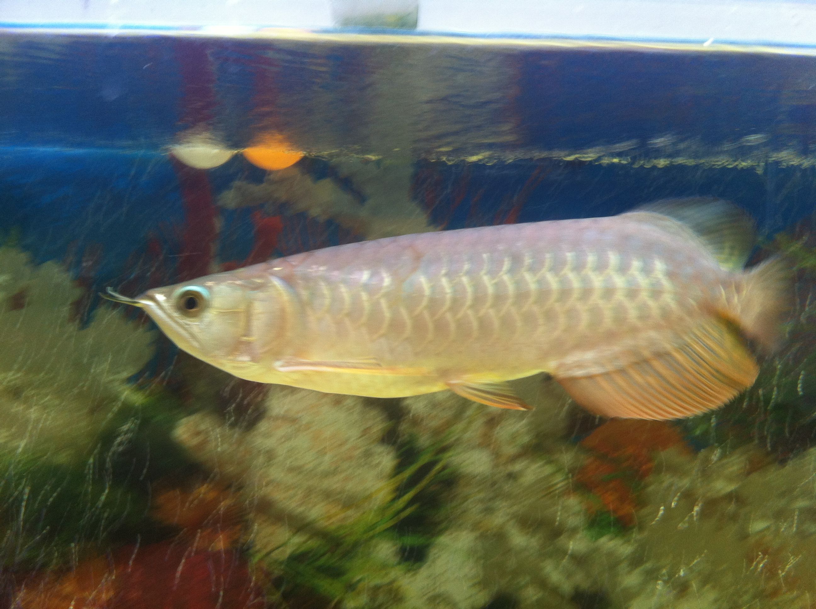 qq低价空间赞(空间赞超低价) qq低价空间赞(空间赞超低价)