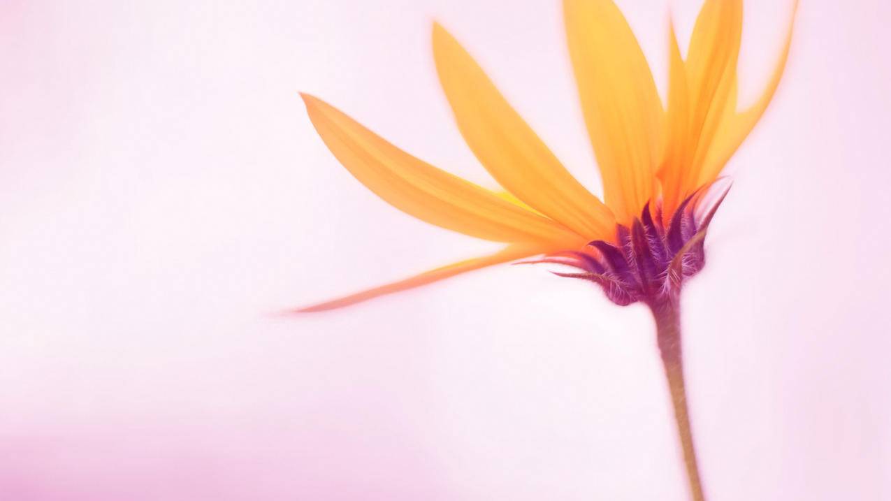 代刷网话费（代刷网刷会员原理）