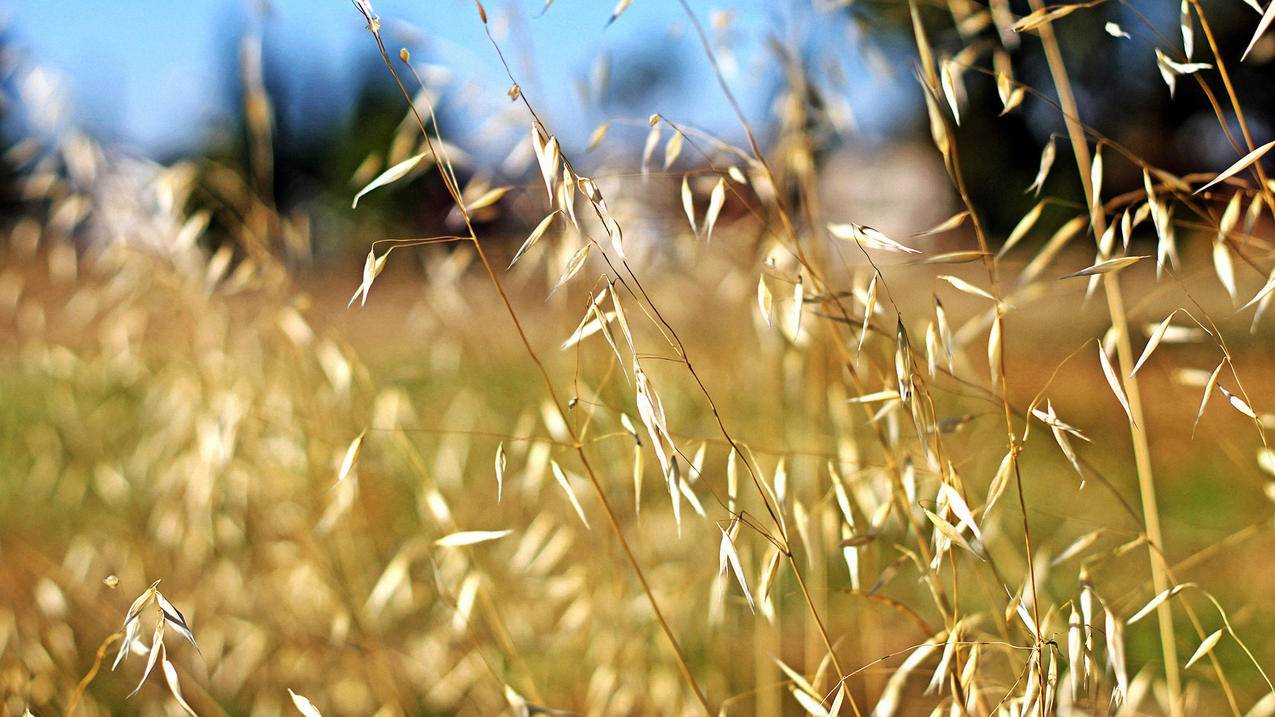 辉煌代刷(辉煌电竞代练联系方式) 辉煌代刷(辉煌电竞代练联系方式)