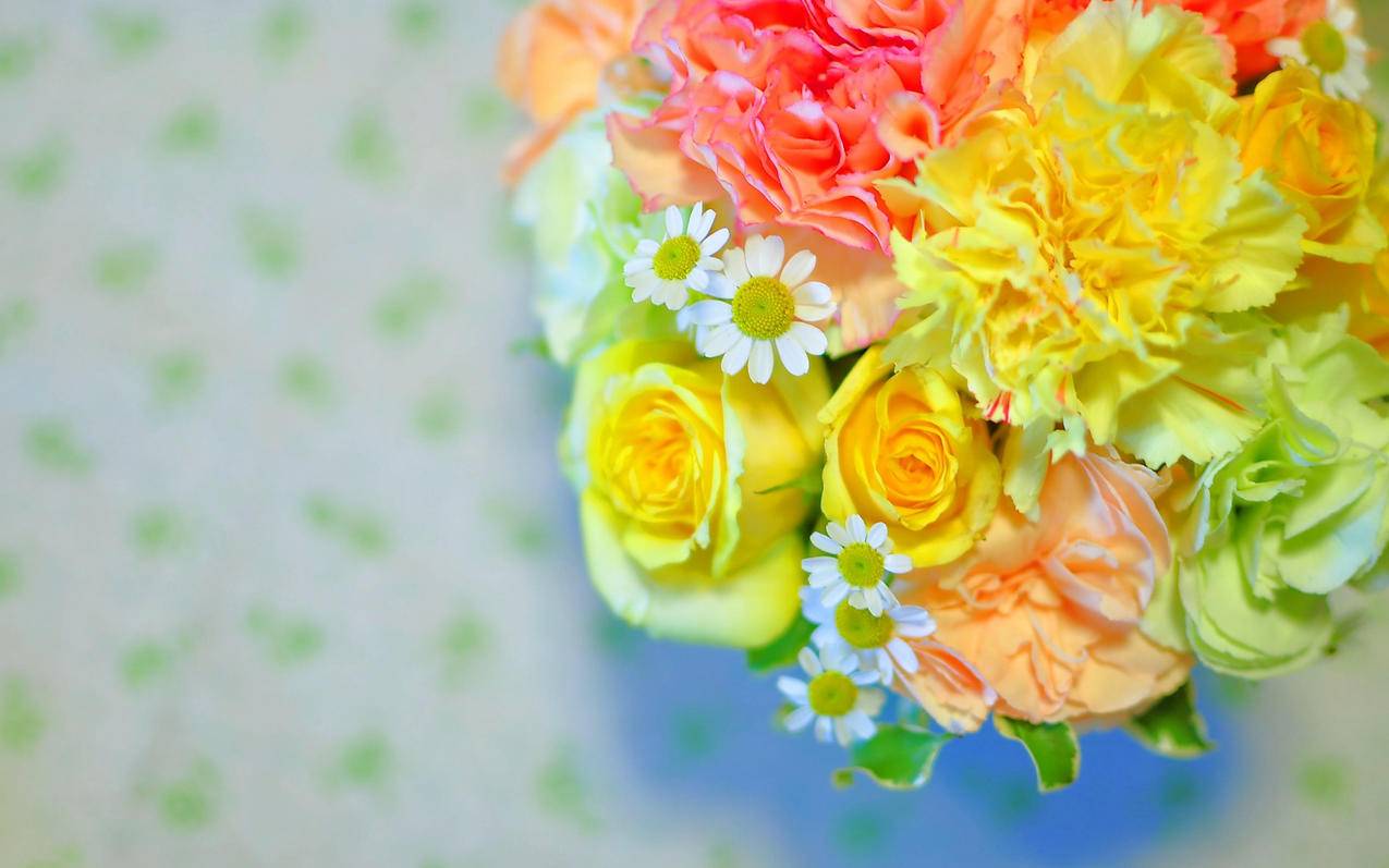 1元粉丝代刷网(1元100粉丝网站) 1元粉丝代刷网(1元100粉丝网站)