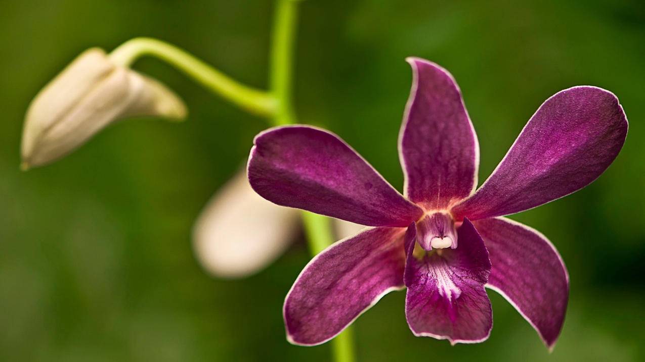 南荷下单(南荷业务_自助下单平台) 南荷下单(南荷业务_自助下单平台)