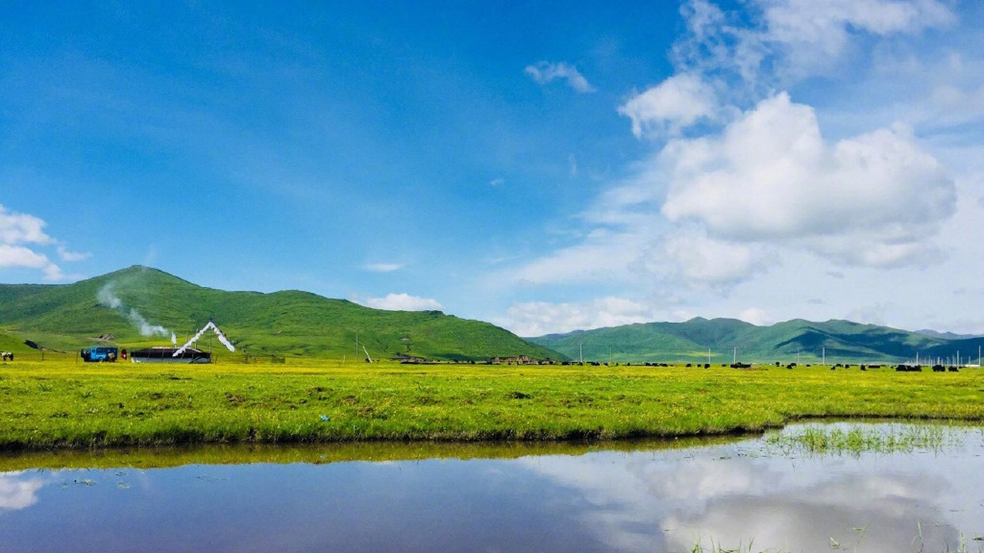 抖音低价代刷网(抖音代刷网全网最低) 抖音低价代刷网(抖音代刷网全网最低)