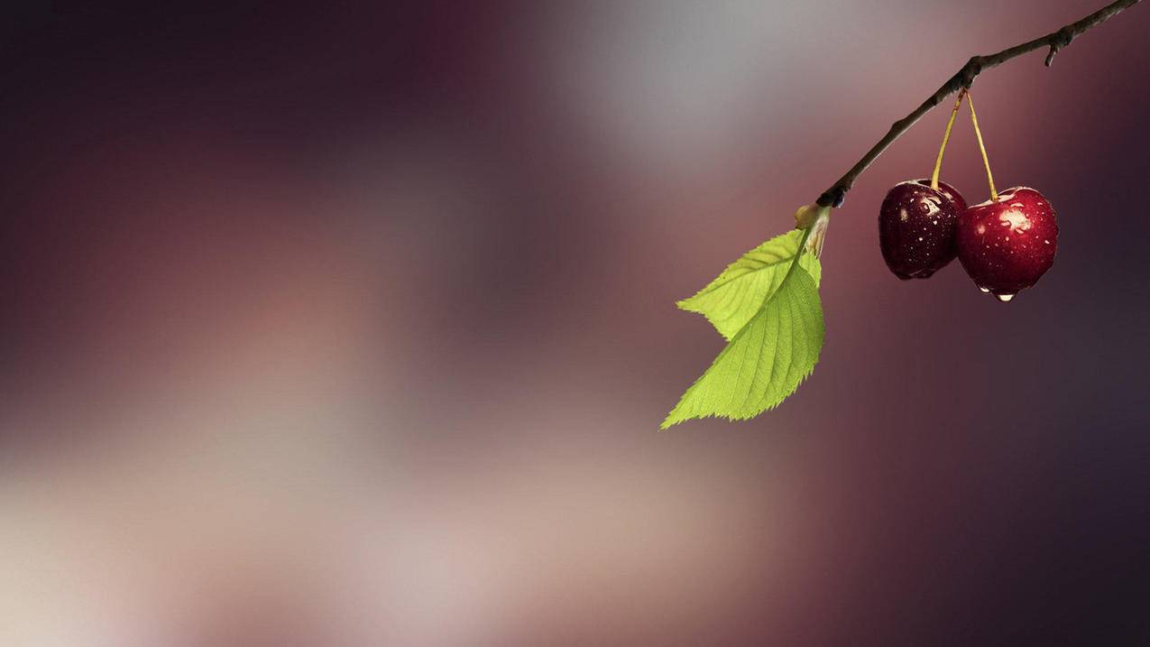 免费空间说说点赞网站（免费空间说说赞网站平台）