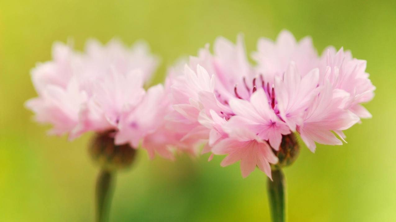 全网最低价qq空间说说赞(空间说说赞全网最低价网站) 全网最低价qq空间说说赞(空间说说赞全网最低价网站)