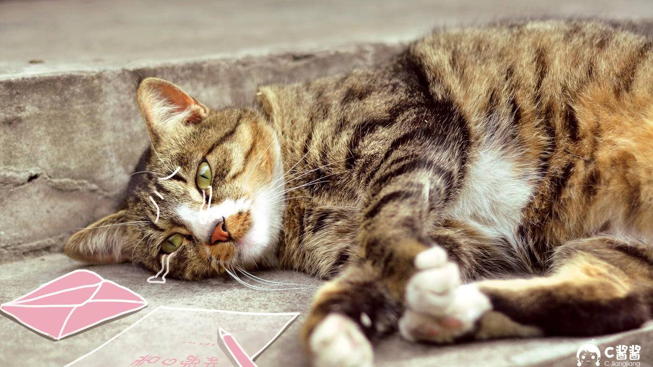 虎牙业务自助下单（虎牙业务自助下单怎么取消）