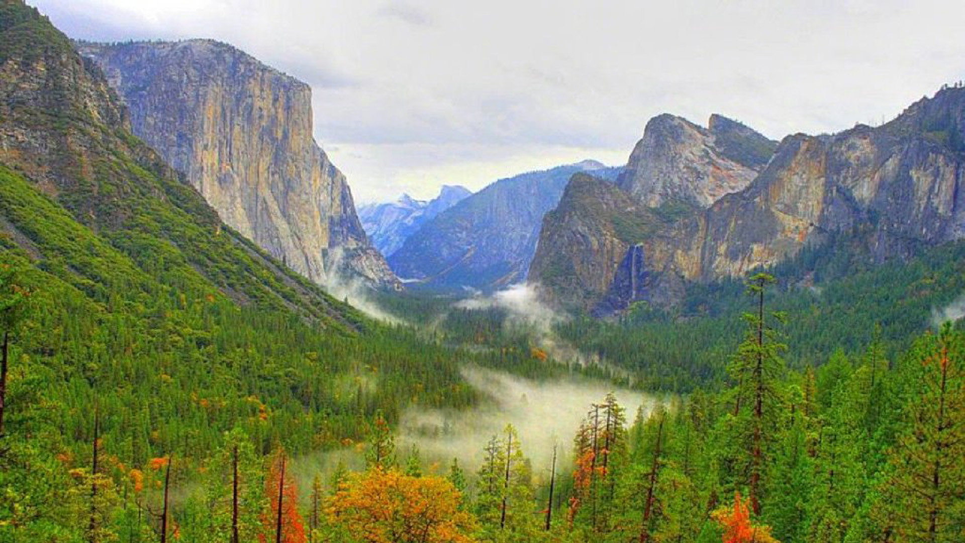 卡盟平台官网自助下单（卡盟平台官网自助下单wl微信）