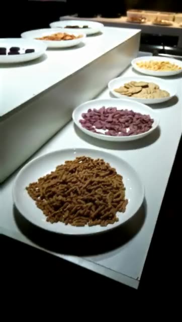 快手自助（快手自助答题解封答案）