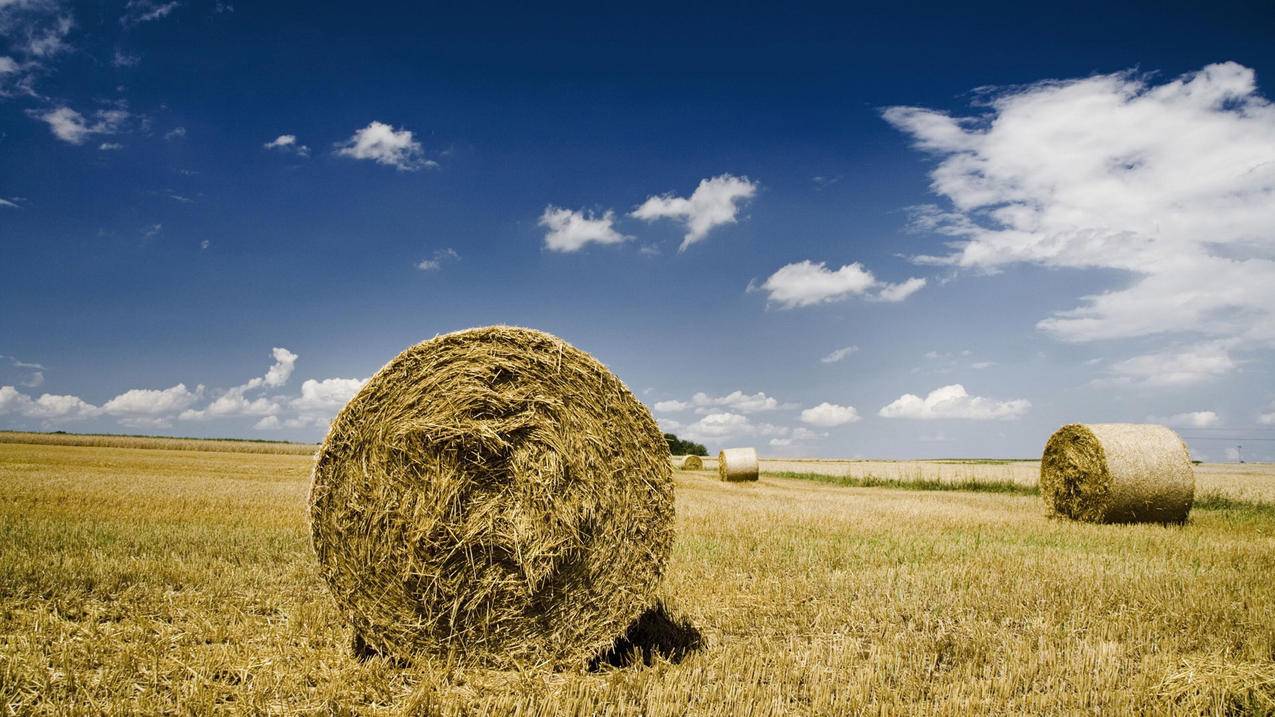 梓豪待刷网(梓豪刷网站超便宜) 梓豪待刷网(梓豪刷网站超便宜)