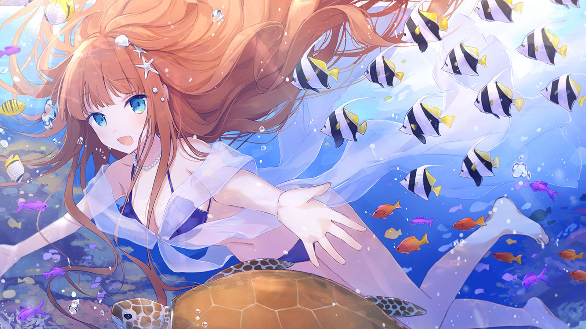 关于网红助手24小时自助下单快手的信息