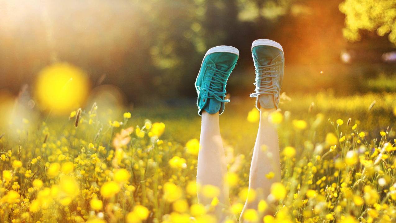 免费刷qq空间说说(免费刷空间说说低价刷) 免费刷qq空间说说(免费刷空间说说低价刷)