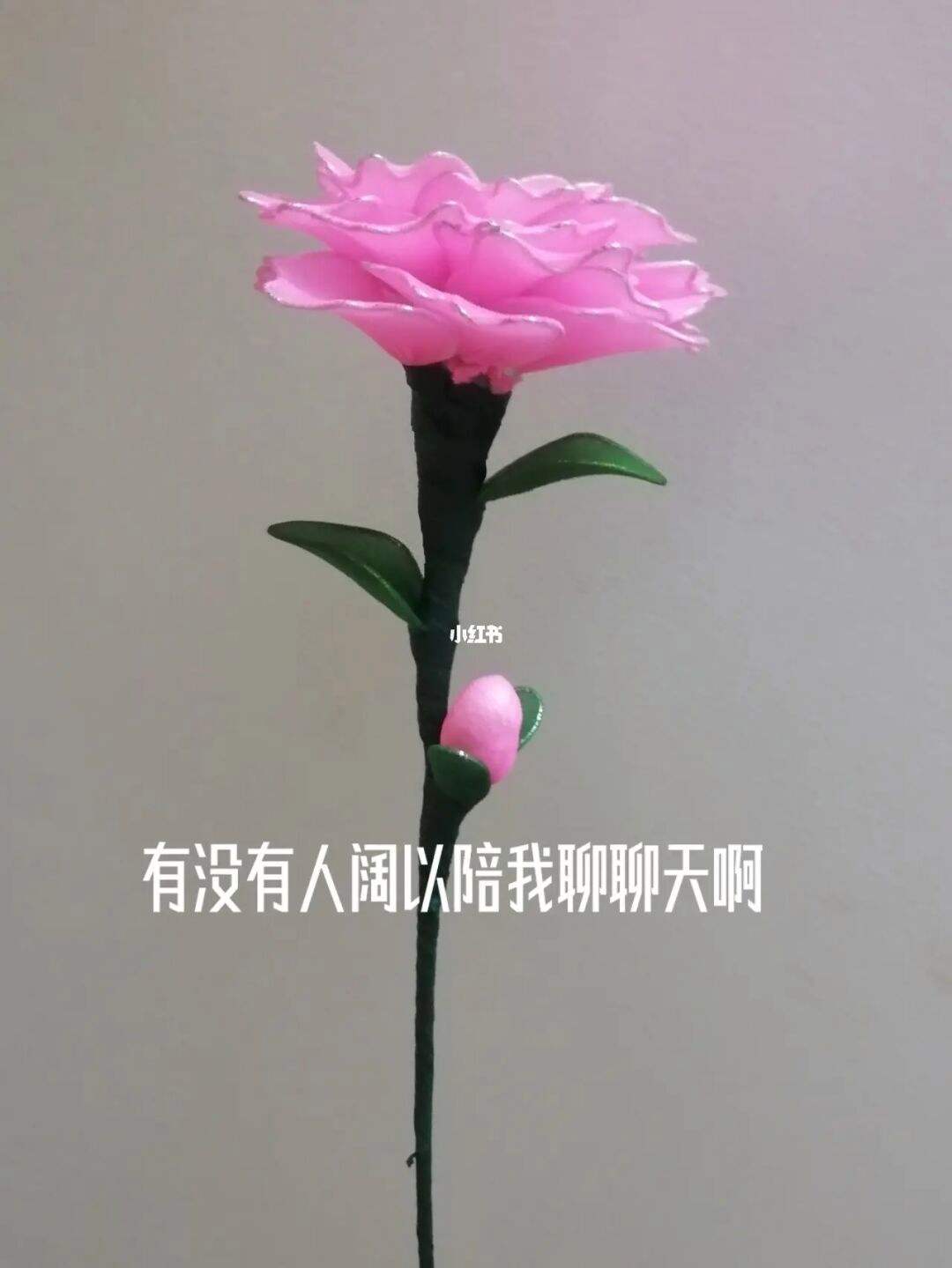 qq空间赞免费领取福利（空间赞免费领取1000个赞）